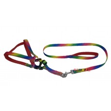 Scoobee Dog Multicolor Padded Nylon Harness And Leash Set 0.75 Inch